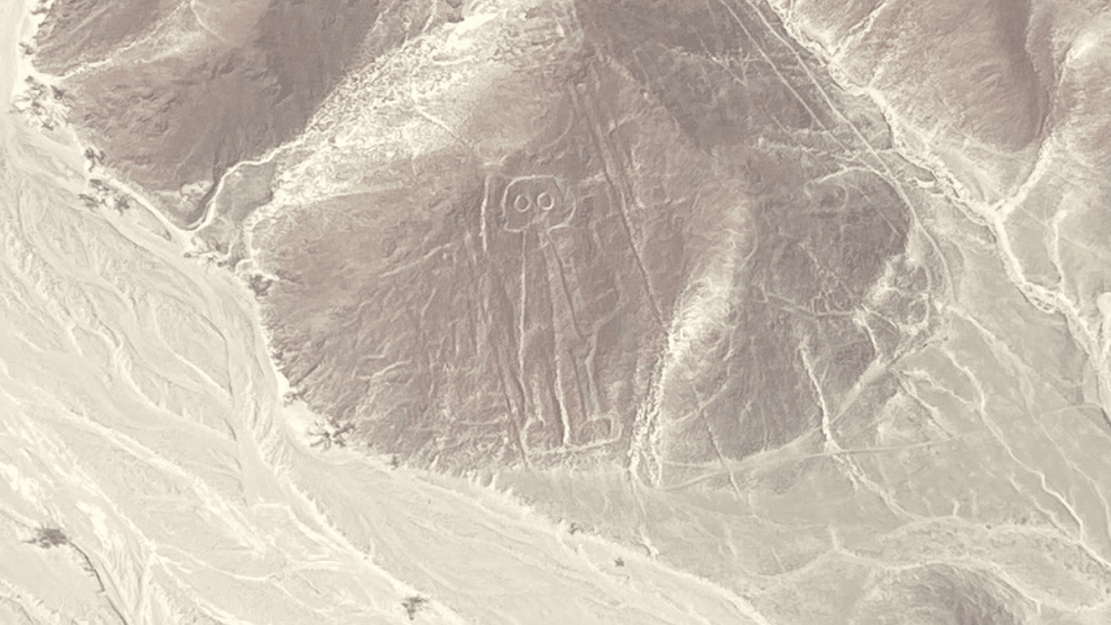 nasca man